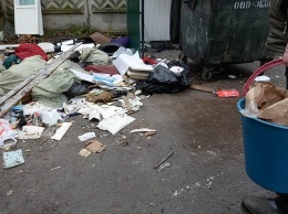 В Челябинске возбудили свыше 20 дел из-за невывоза мусора