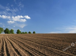 Скандал в Десантном: как почти вся земля в селе оказалась в руках группы фермеров (видео)