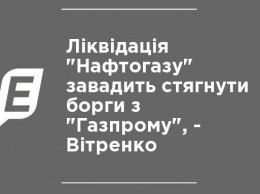 Ликвидация "Нафтогаза" помешает взыскать долги с "Газпрома", - Витренко