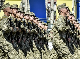 Приветствием УПА* Киев унизил украинскую армию и народ - депутат Госдумы