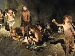 Лечебные практики неандертальцев позволили им выживать даже после тяжелых травм
