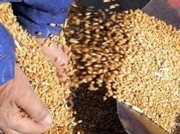 Украина договорились об увеличении поставок зерна в Китай