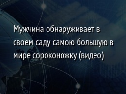 Мужчина обнаруживает в своем саду самою большую в мире сороконожку (видео)