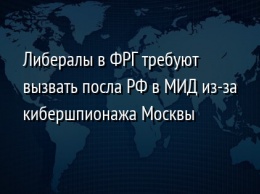 Либералы в ФРГ требуют вызвать посла РФ в МИД из-за кибершпионажа Москвы