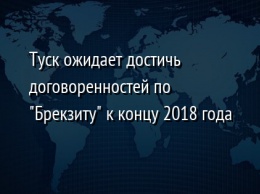 Туск ожидает достичь договоренностей по "Брекзиту" к концу 2018 года