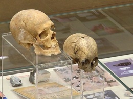 В Харькове обнаружили череп Хоббита (фото)