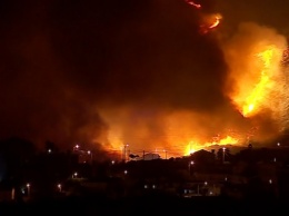 В Португалии начался масштабный лесной пожар