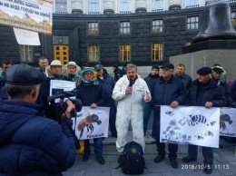 Пчеловоды Николаевщины митинговали под ВР и Кабмином с требованием внести криминальную ответственность за отравление пчел