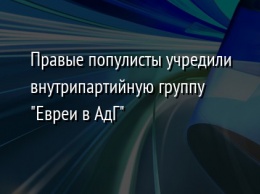 Правые популисты учредили внутрипартийную группу "Евреи в АдГ"