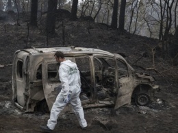 В Португалии из-за лесного пожара эвакуировали сотни людей