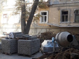 На Дворянской пытались спилить старейший каштан Одессы: полиция остановила работы