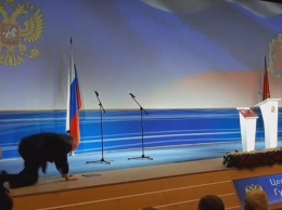 На четвереньки: Жириновский публично оконфузился на массовом мероприятии. Фотофакт