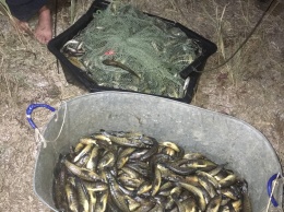 Херсонские полицейские поймали двух браконьеров, выловивших у Кинбурнской косы на Николаевщине больше 100 кг бычка