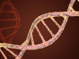 Ученые впервые отредактировали ДНК эмбриона в утробе матери