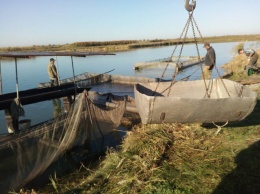 В Карачуновское водохранилище запустили 3 тонны малька толстолоба