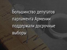 Большинство депутатов парламента Армении поддержали досрочные выборы