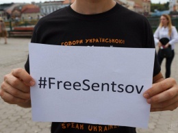 Денисова требует от омбудсмена РФ документального подтверждения прекращения Сенцовим голодовки