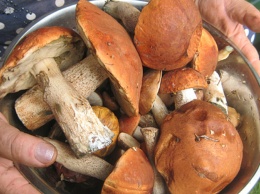 В крымском храме снова отравились грибами