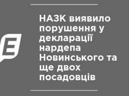 НАПК выявило нарушения в декларации нардепа Новинского и еще двух чиновников