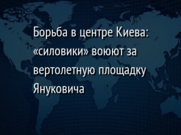 Борьба в центре Киева: «силовики» воюют за вертолетную площадку Януковича
