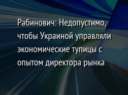 Рабинович: Недопустимо, чтобы Украиной управляли экономические тупицы с опытом директора рынка