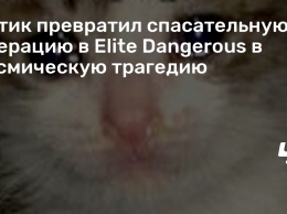 Котик превратил спасательную операцию в Elite Dangerous в космическую трагедию