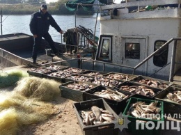 Браконьеры выловили на водохранилище 300 килограммов рыбы (фото)