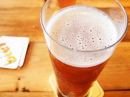 Ученые обнаружили полезные свойства пива