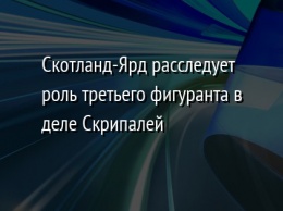 Скотланд-Ярд расследует роль третьего фигуранта в деле Скрипалей