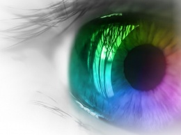 Ученые нашли способ выращивания искусственной сетчатки глаза