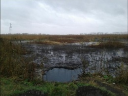 В Омской области обнаружили страшное место нечистот, откуда может распространиться эпидемия