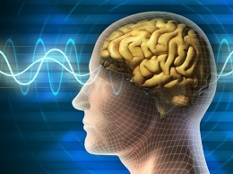 Человеческий мозг способен создавать воспоминания