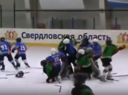 Массовая драка юных уральских хоккеистов во время игры попала на видео