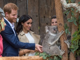 Принц Гарри и Меган Маркл познакомились со своими тезками коалами в зоопарке Сиднея