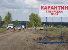 В Одесской области зафиксировали новый случай сибирской язвы