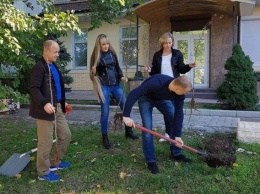 Николаевские прокуроры в память о погибших защитниках Украины посадили аллею абрикосов