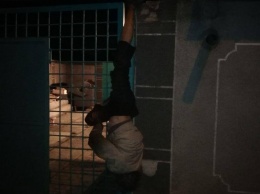 Забор одесского магазина «арестовал» ночного воришку (фотофакт)