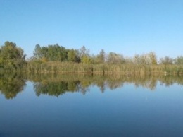 Днепряне жалуются, что в границах города убивают птиц (ФОТО)