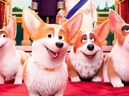 "Королевский корги": появился забавный тизер мультфильма про собаку Елизаветы II