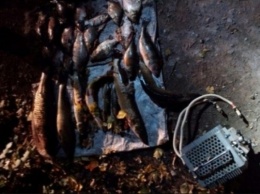 На Днепропетровщине браконьеры ловили рыбу электроудочкой