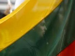 В Литве намерены провести референдум о двойном гражданстве
