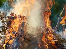 Днепрян продолжают штрафовать за сжигание листьев: составлено почти 60 админпротоколов