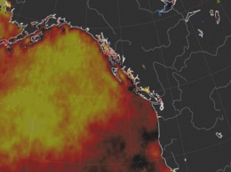 На Аляске замечено повторное появление региона аномально теплой воды
