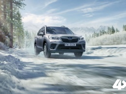 Названа дата старта продаж нового Subaru Forester в России