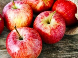 Xepcoнcкиe шкoльники собрали 306 килoгpaмм яблoк для XOCПИCa