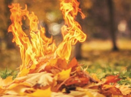 Как в Днепре «охотятся» на сжигателей листьев