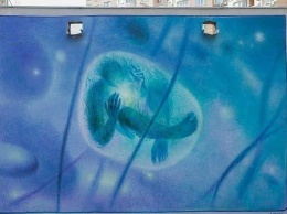 Вернули в серые будни: на Позняках закрасили известный мурал Матрица