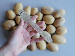 Разработан биоразлагаемый "пластик" из... картофеля