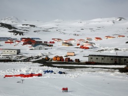 Суд арестовал российского полярника, попытавшего убить человека в Антарктике
