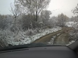 В Ленобласти выпал первый снег